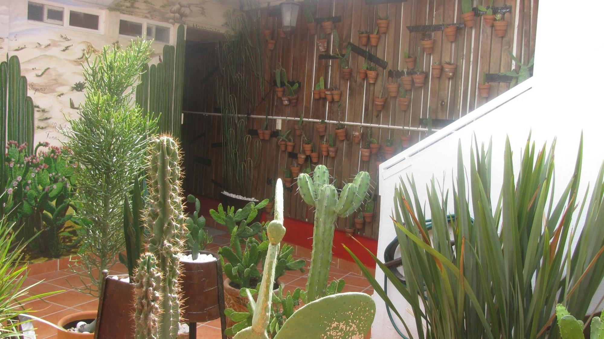 Casa Zuniga B&B 瓜纳华托 外观 照片